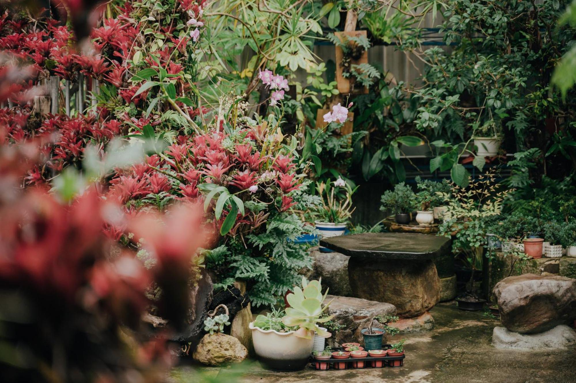 蘊慢築 茶花藝主題民宿 Yun Man Zhu Homestay Gongguan Exteriör bild